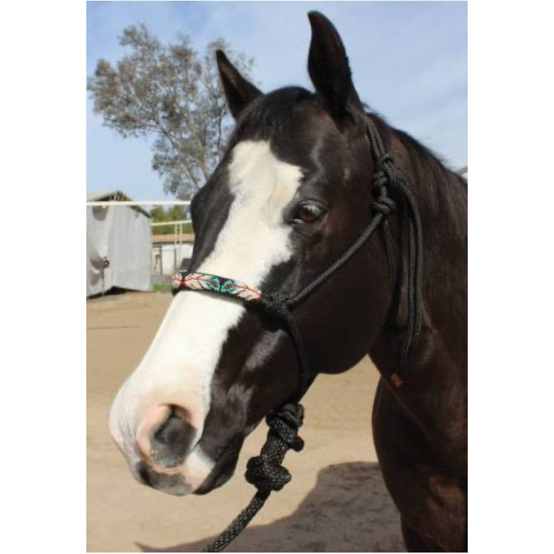 Professional’s Choice Halter w/ Rope Beaded HRB