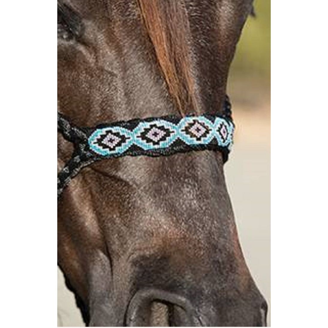 Professional’s Choice Cowboy Braided Halter w/ Beading HRCB