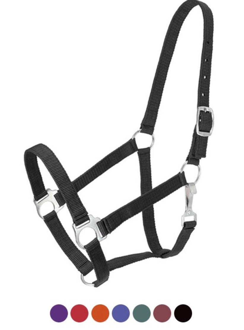 Tough 1 Economy Nylon Halter Horse