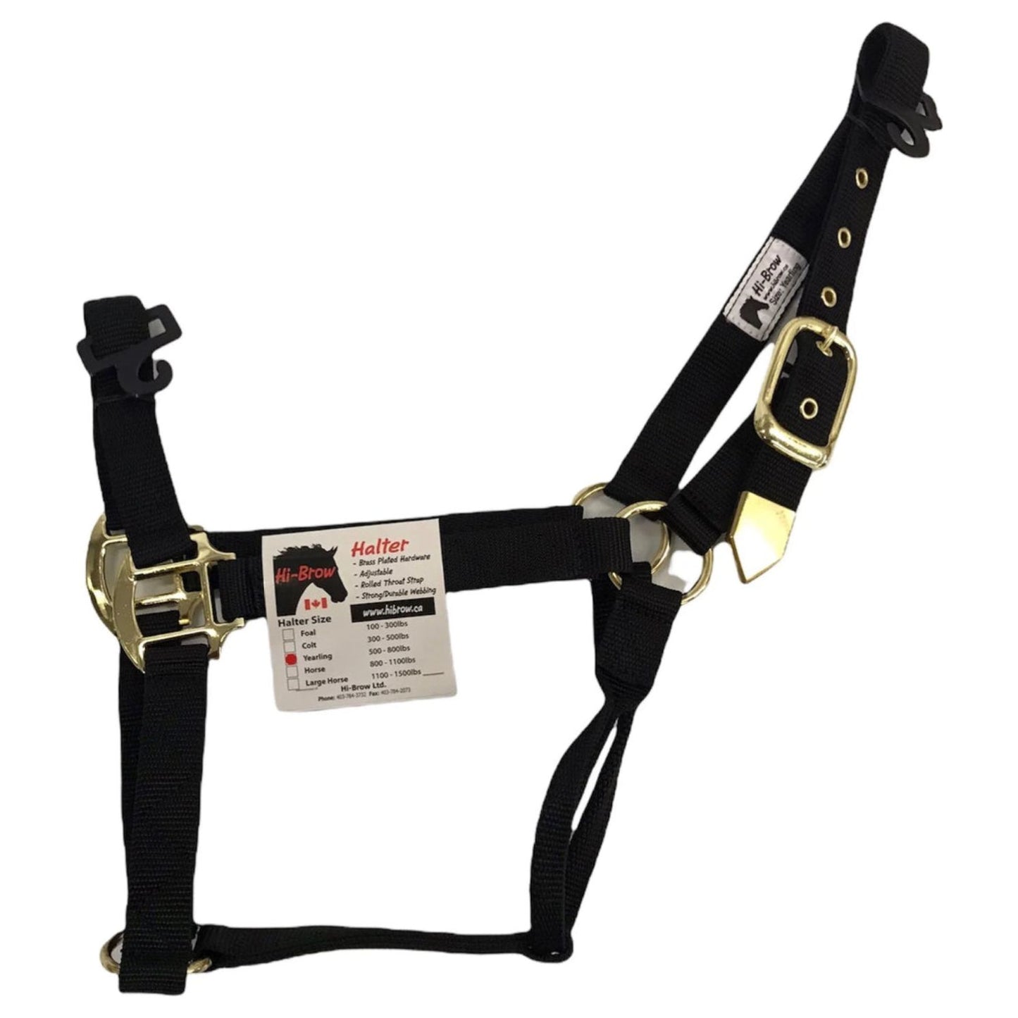 HiBrow Halter Horse/Avg Assorted Colors