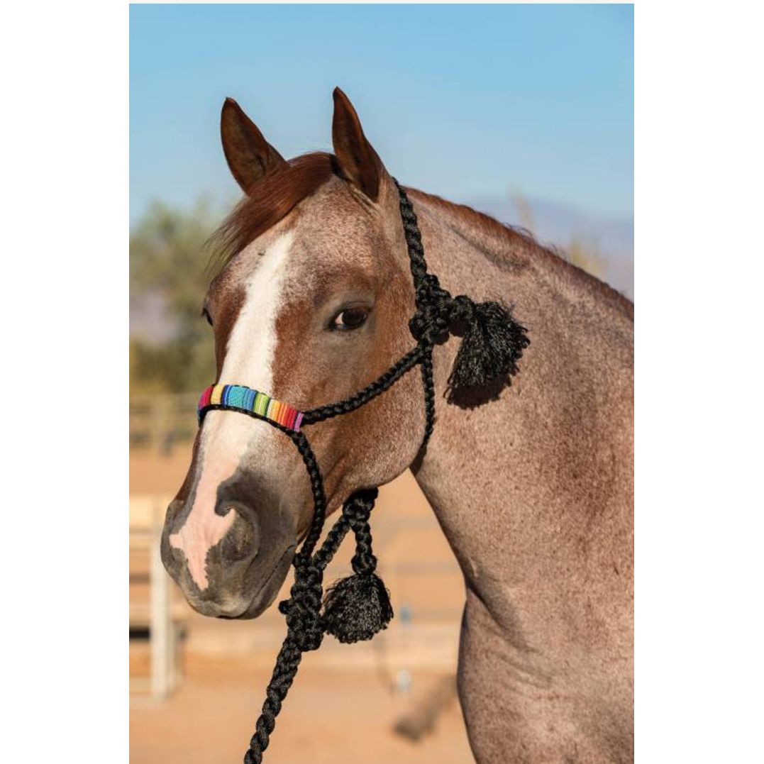 Professional’s Choice Cowboy Braided Halter w/ Beading HRCB