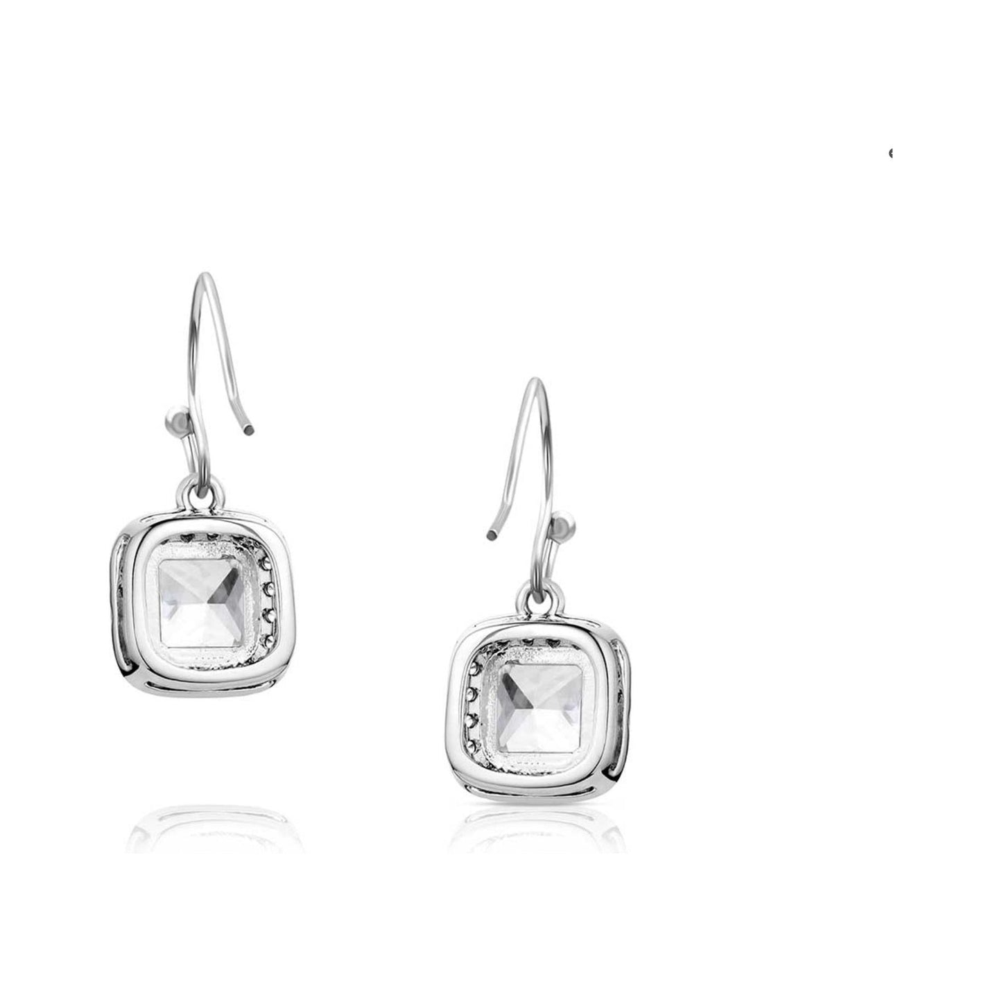 Montana Silversmiths -  Earrings - Sparkling Delight ER6189