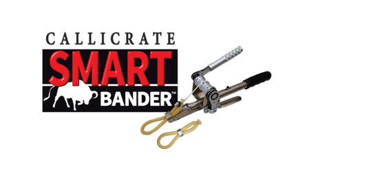 Callucrate Smart Bander