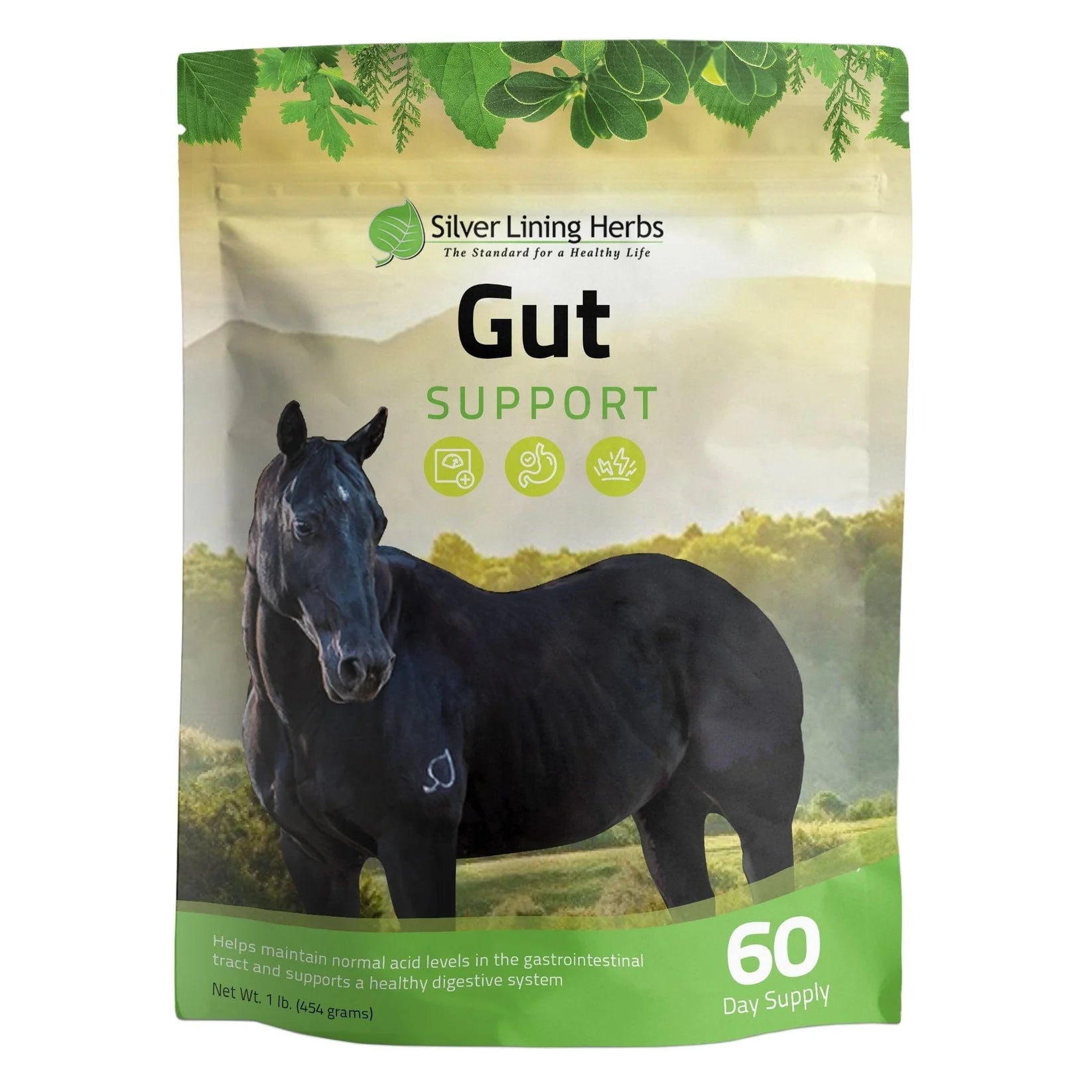 Silver Lining Herbs Gut Support 1lbs