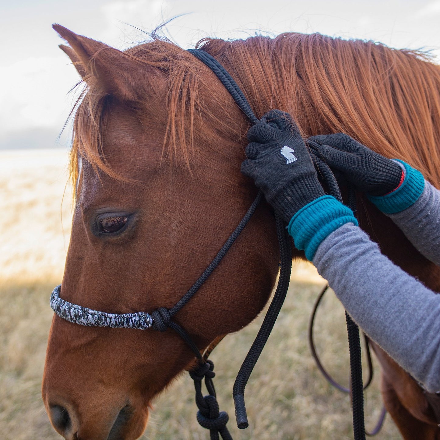 Classic Equine Winter Barn Gloves black- BGLOVEBK