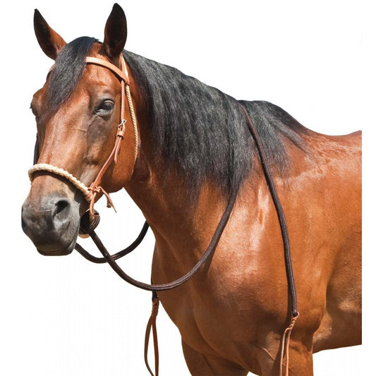 Mustang Loping/Breaking Hackamore 202224