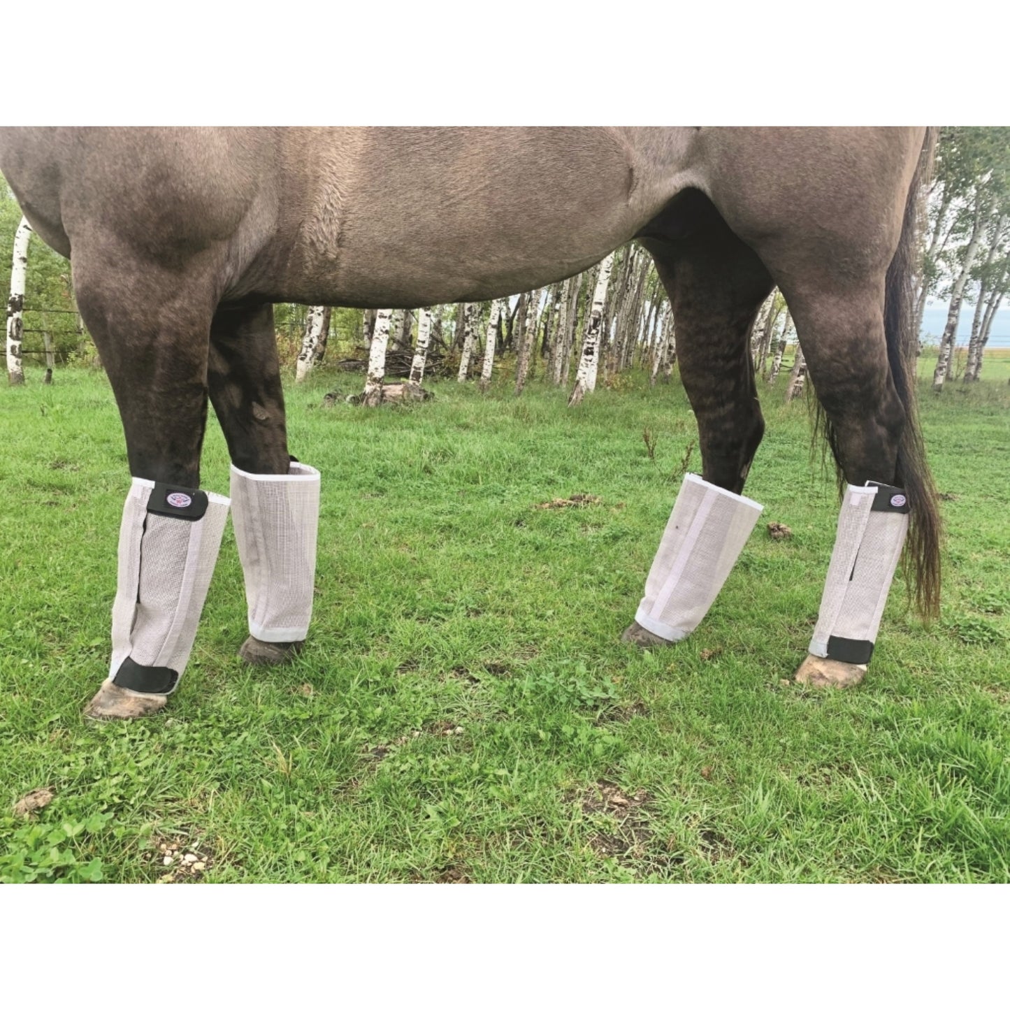 Western Rawhide Fly Boots 107675