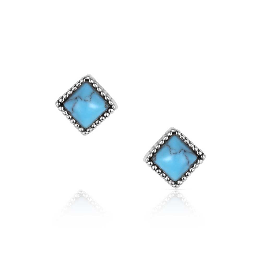 Montana Silversmith Earrings - Desert Turquoise ER6326