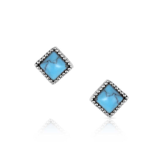 Montana Silversmith Earrings - Desert Turquoise ER6326