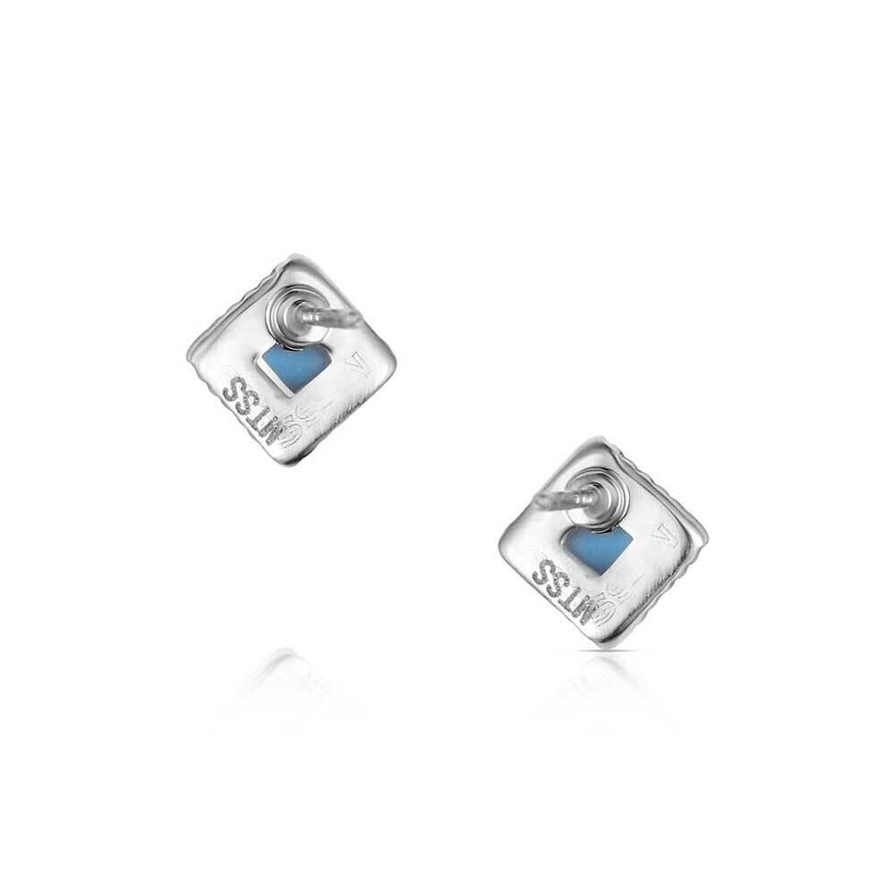 Montana Silversmith Earrings - Desert Turquoise ER6326