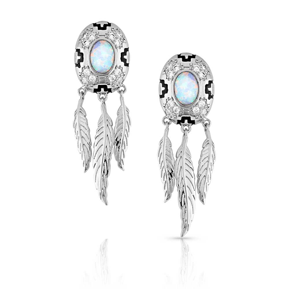 Montana Silversmith Earrings - Divine Touch ER5305