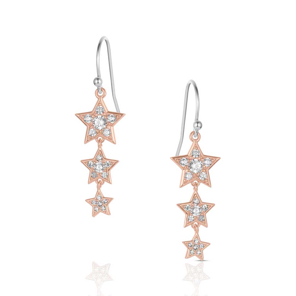 Montana Silversmith Earrings - Trio Of Wishes ER6311