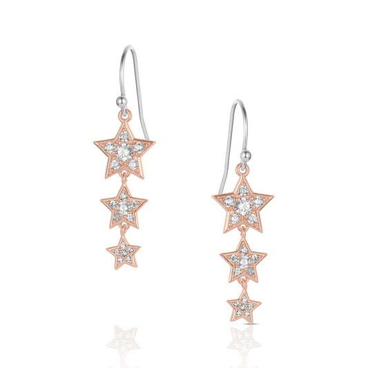 Montana Silversmith Earrings - Trio Of Wishes ER6311