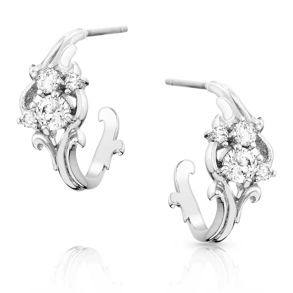 Montana Silversmith Earrings - Ice Flower ER5110