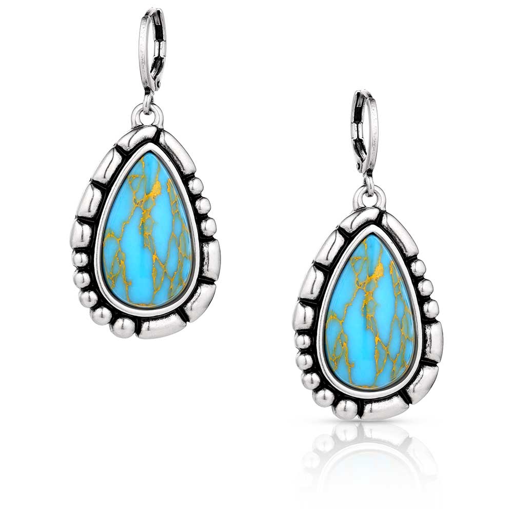 Montana Silversmith Earrings - Prickly Pear ER6126