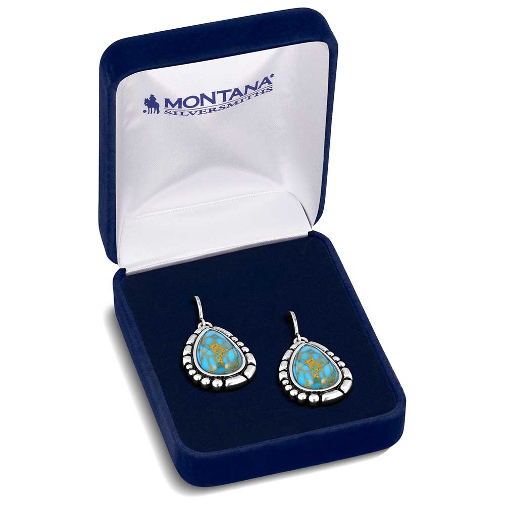 Montana Silversmith Earrings - Prickly Pear ER6126