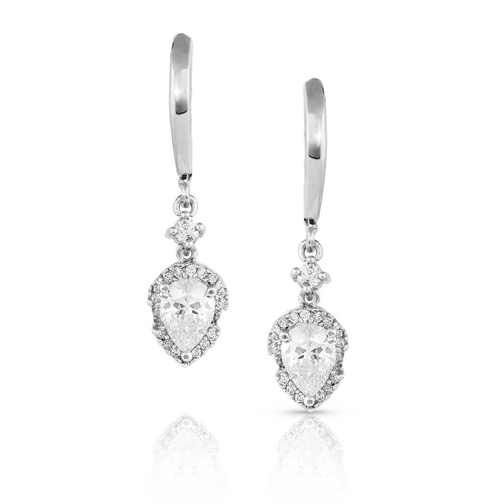 Montana Silversmith Earrings - Poised Perfection ER5323