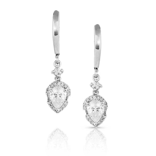 Montana Silversmith Earrings - Poised Perfection ER5323