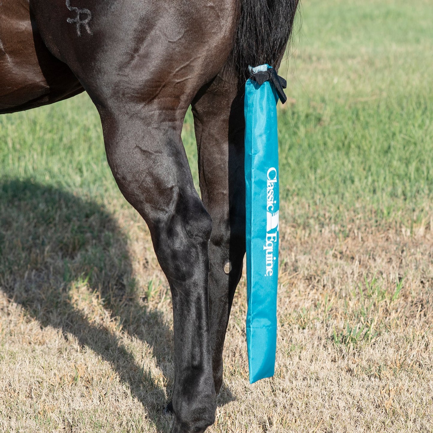 Classic Equine Slick Tail Bag (Raspberry or Turquoise)