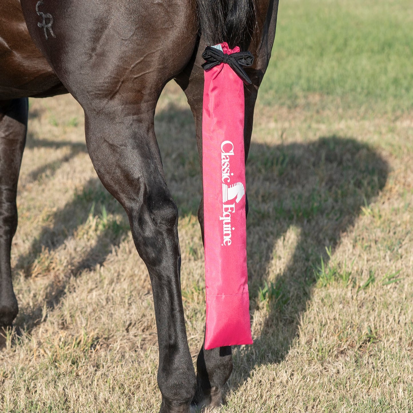 Classic Equine Slick Tail Bag (Raspberry or Turquoise)