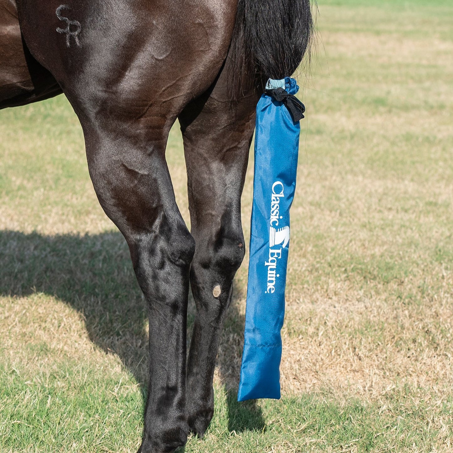 Classic Equine Slick Tail Bag (Raspberry or Turquoise)