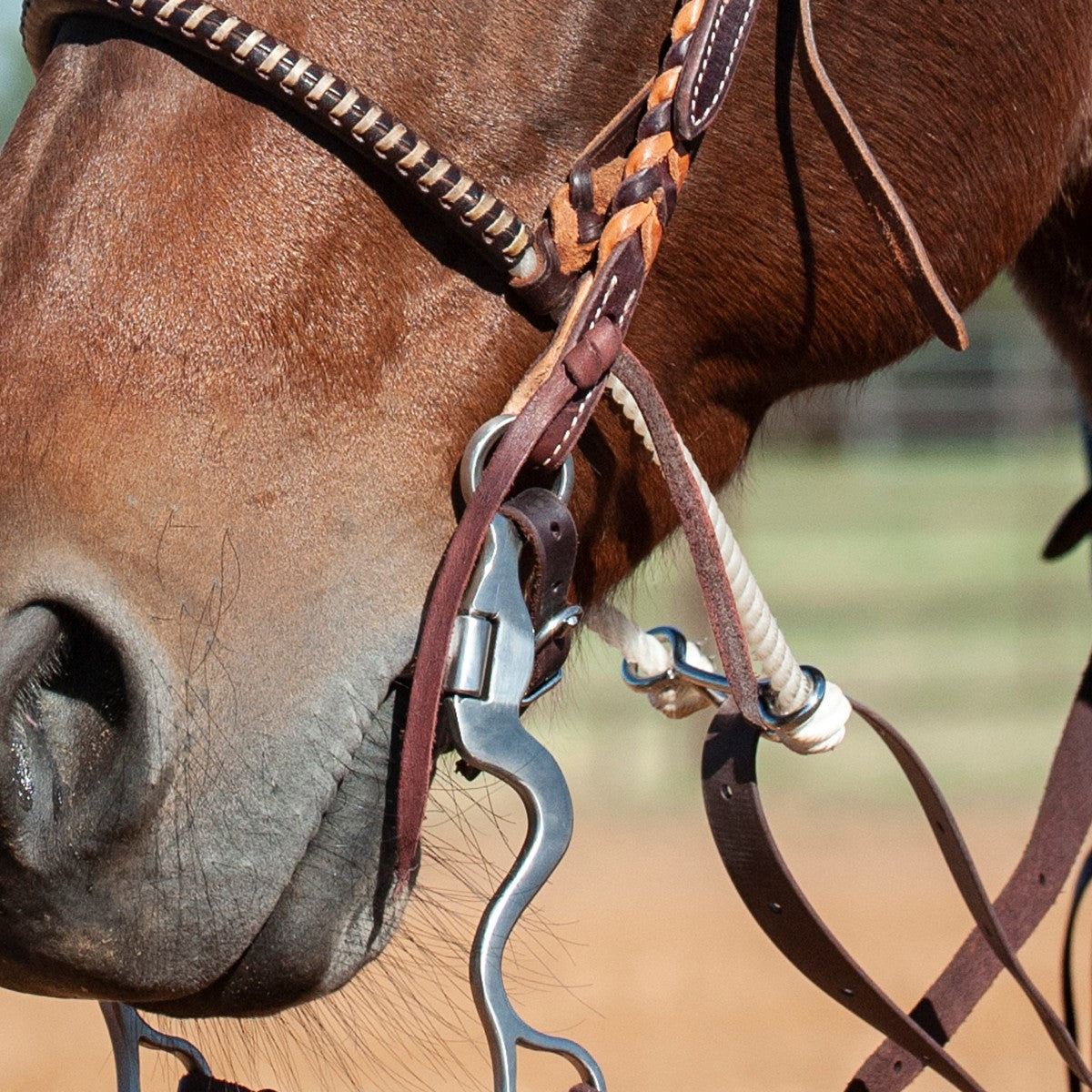 Martin Saddlery - Latigo Leather Saddle String 10 Pack