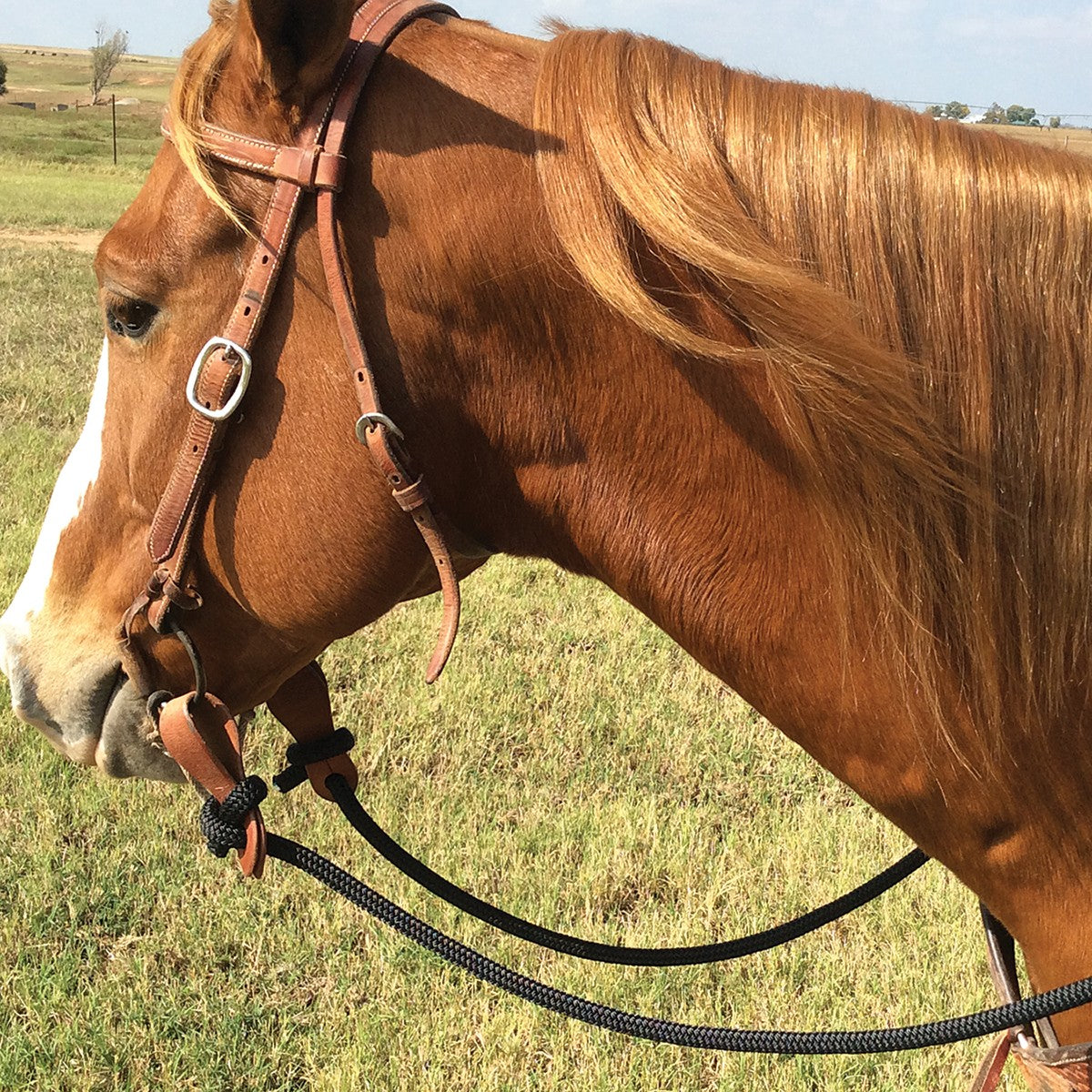 Martin Saddlery, PHIL HAUGEN Braided Rope Rein PHREIN