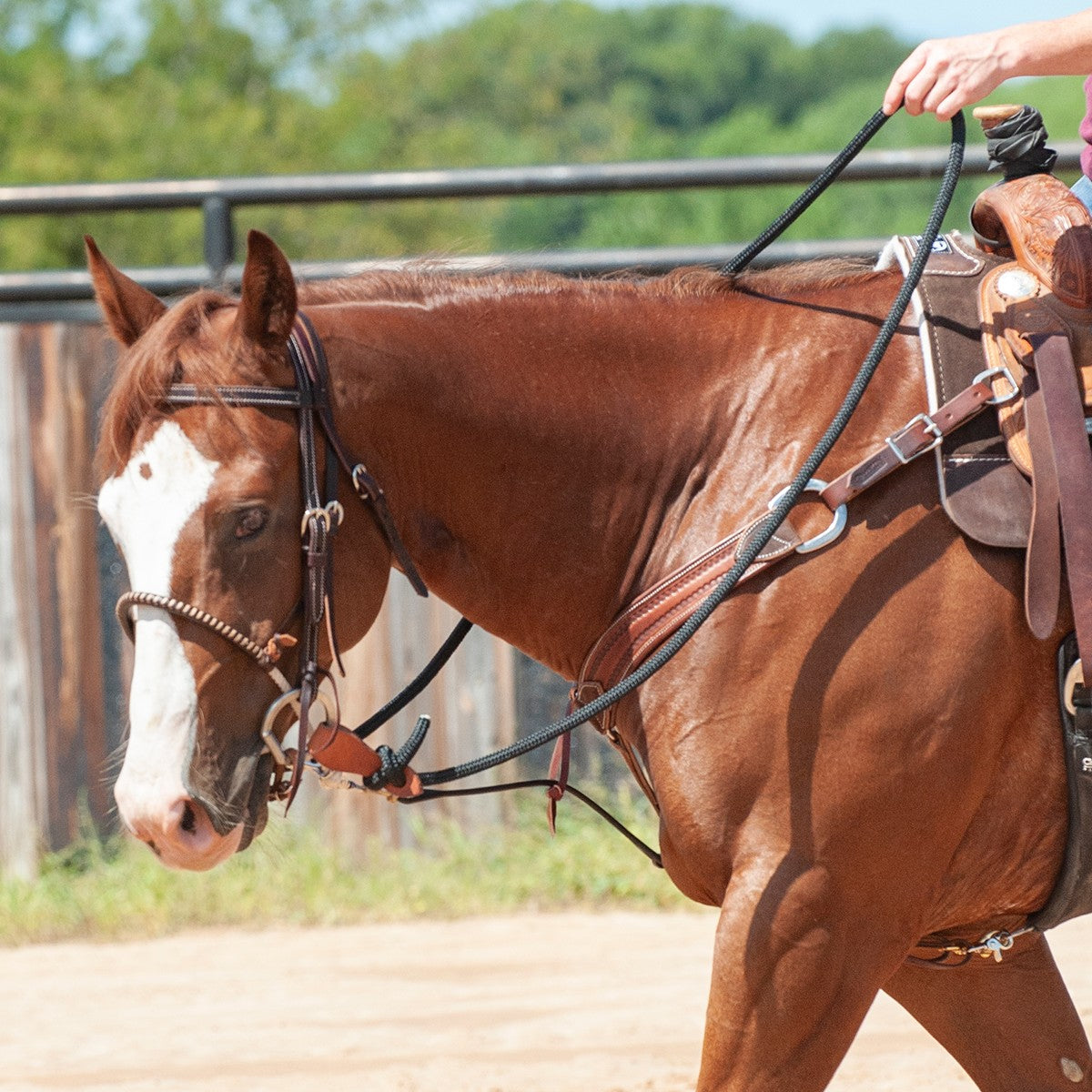 Martin Saddlery, PHIL HAUGEN Braided Rope Rein PHREIN