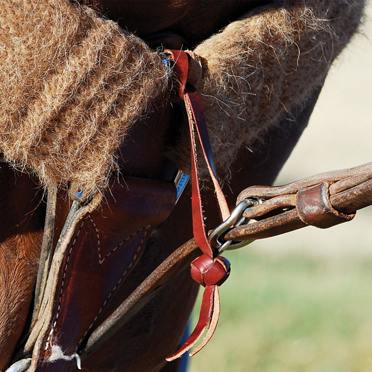 Martin Saddlery Tiedown Hobble w/ Button Knot TDHOBB