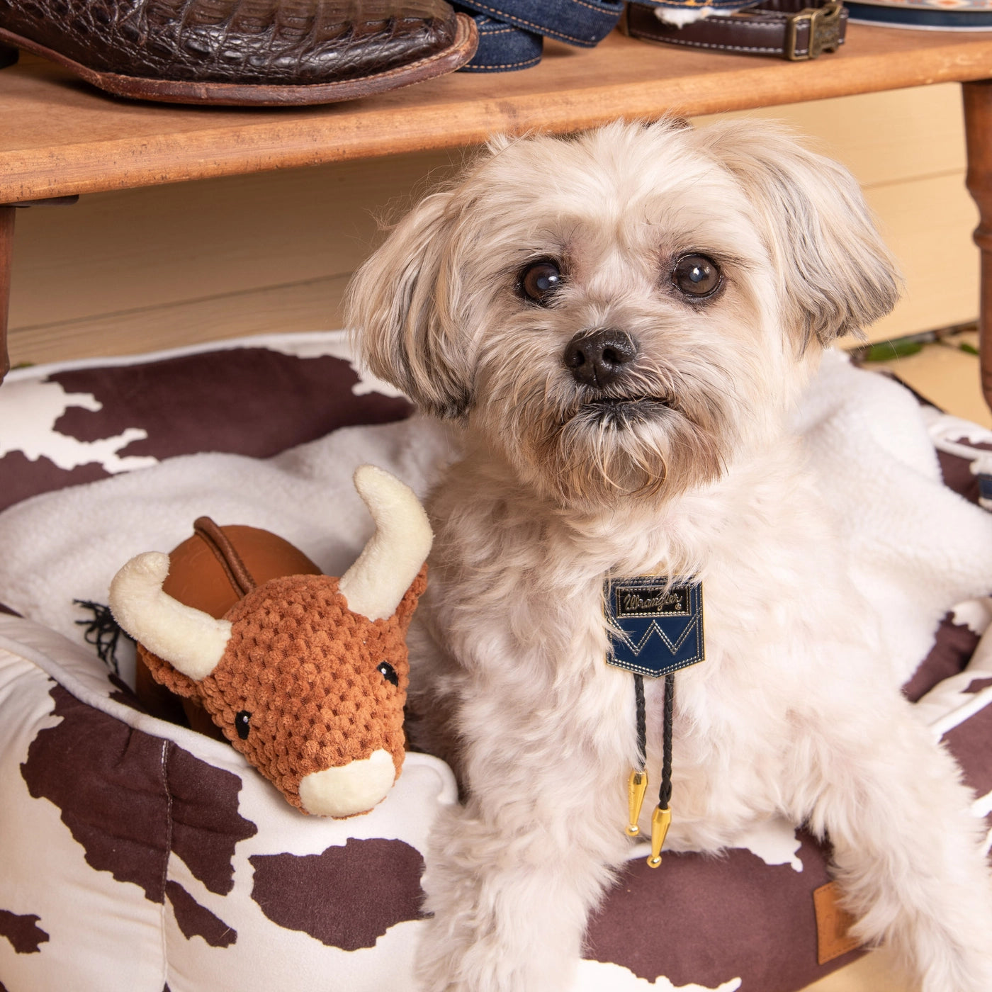 Wrangler Dog Toy AdoraBULL, Textured Latex
