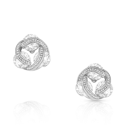Montana Silversmiths Earrings - Holding on to Starlight ER4800