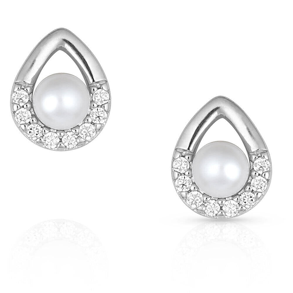 Montana Silversmiths Earrings - Cradled Sparkling Studs ER4893