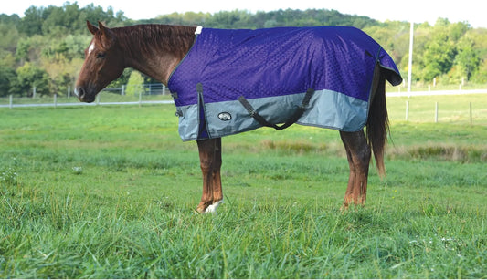 Weaver Premium Turnout Blanket -1200D, 300g Purple 35-1586-B6