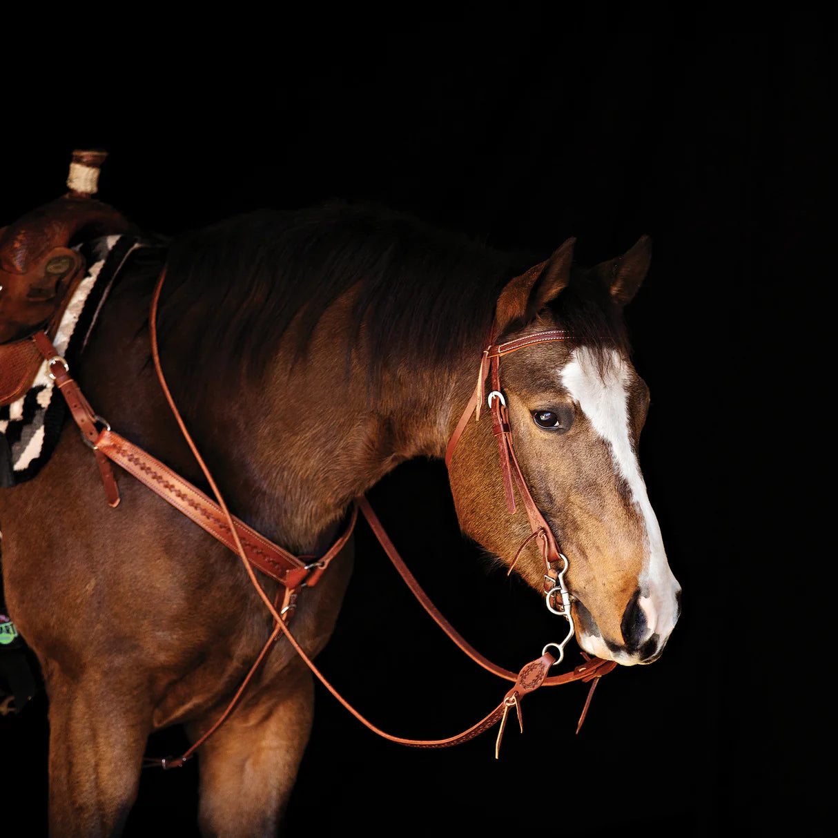 Weaver Leather Barbed Wire Dark Leather Headstall 10-0367