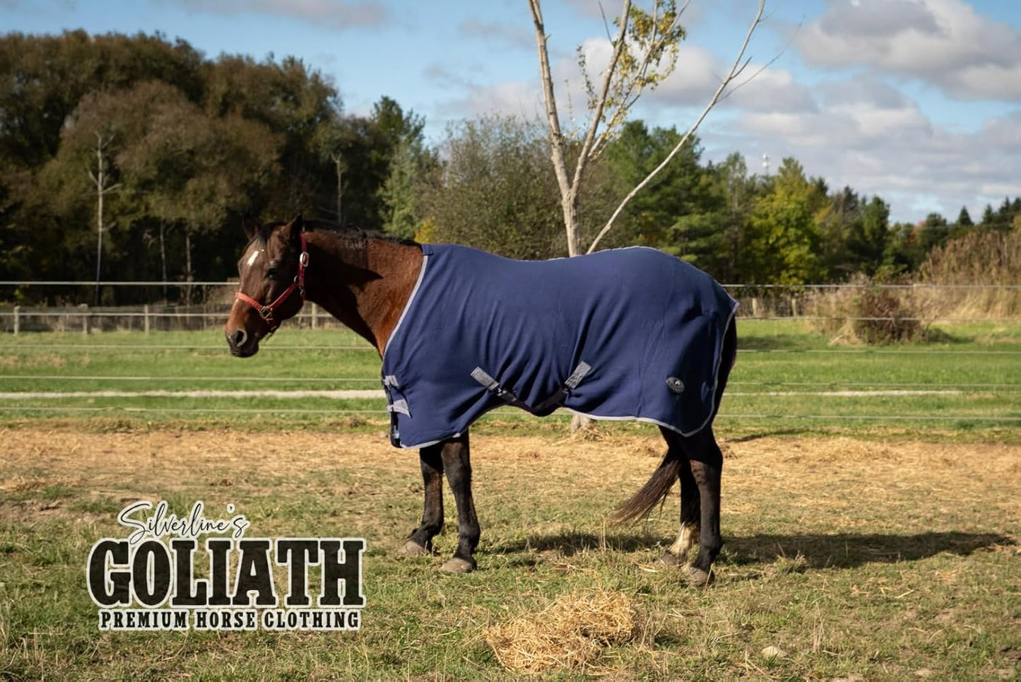 Centurion Cooler Horse Blanket, Navy or Burgundy 420N