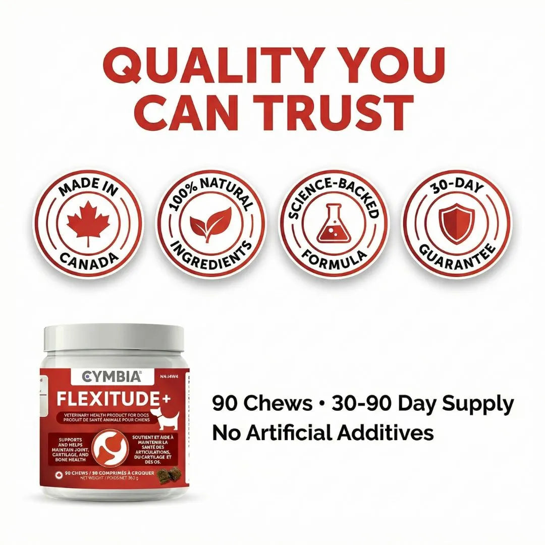 Flexitude+ Joint Support Chews For Dogs - Mobility and Hip Care (90 Chews)