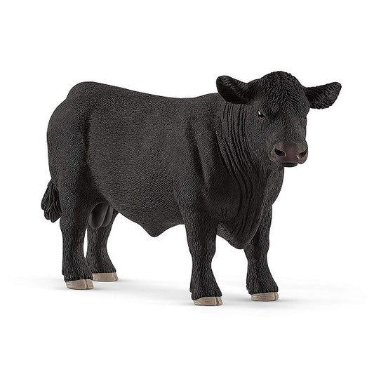 Angus bull