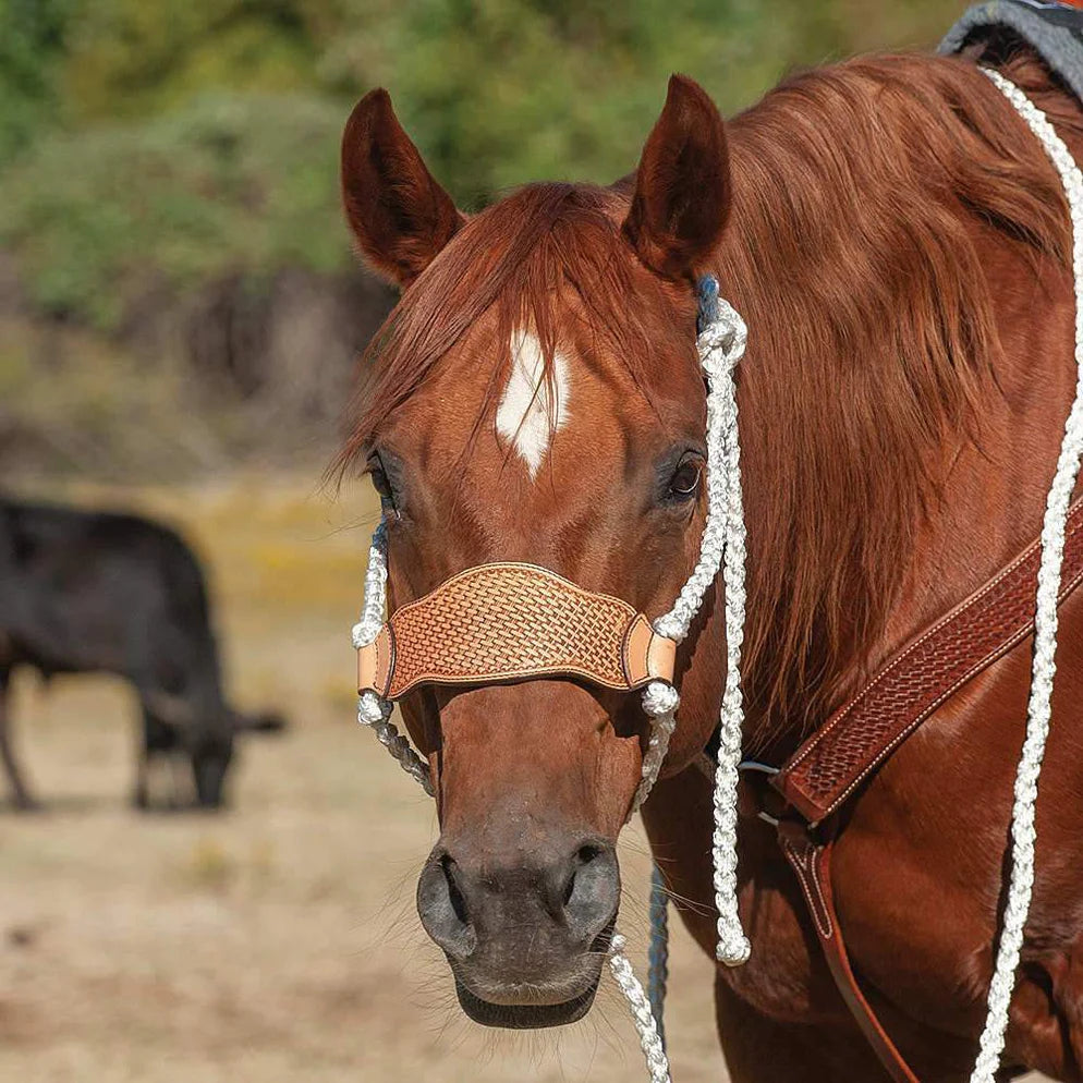 Cashel Company Braided Rope Halter w/Basket Stamp Leather Nose and Lead Rope