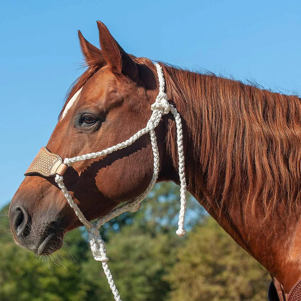 Cashel Company Braided Rope Halter w/Basket Stamp Leather Nose and Lead Rope