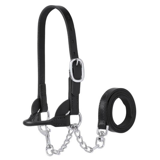 Bucket Calf Show Halter, Black