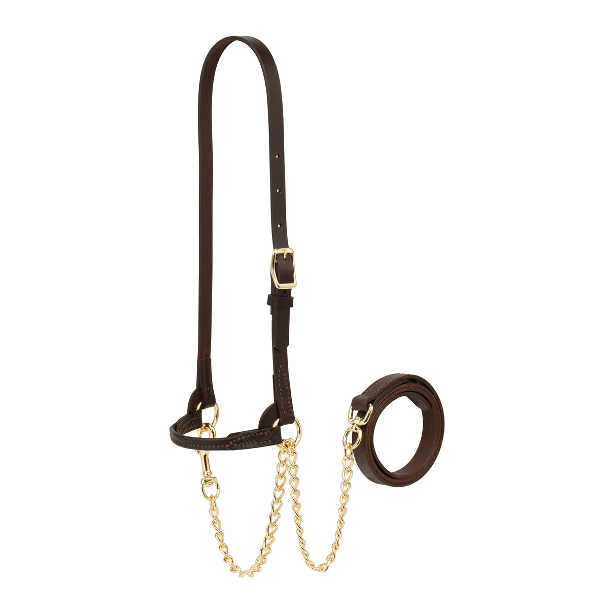 WEAVER Dairy Show Halter