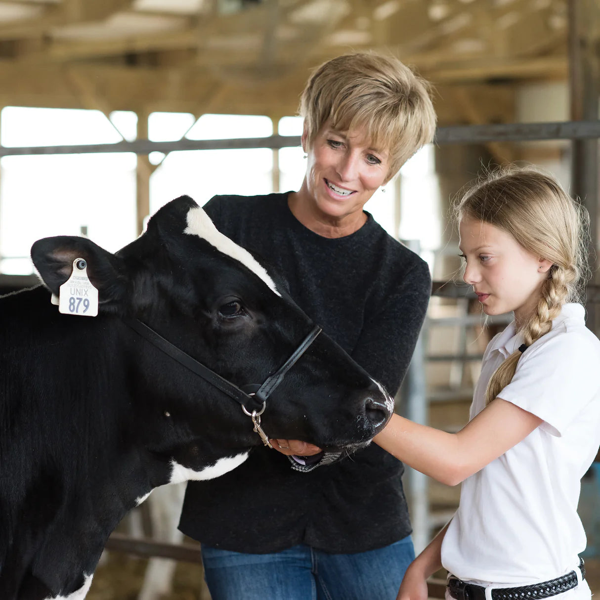 WEAVER Dairy Show Halter