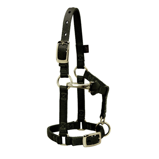 WEAVER MINIATURE HORSE ADJUSTABLE CHIN & THROAT SNAP HALTER