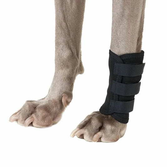 Back on Track Dog Leg Wraps