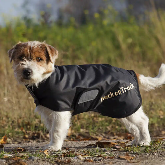 Back on track “Hugo” Standard Dog Rug