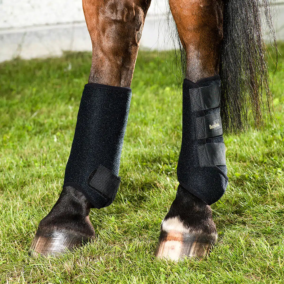 BOT Back On Track Exercise Boots- Hind