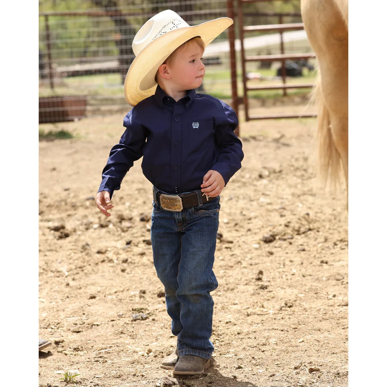 Boy's Button-Down Western Shirt MTW7060412