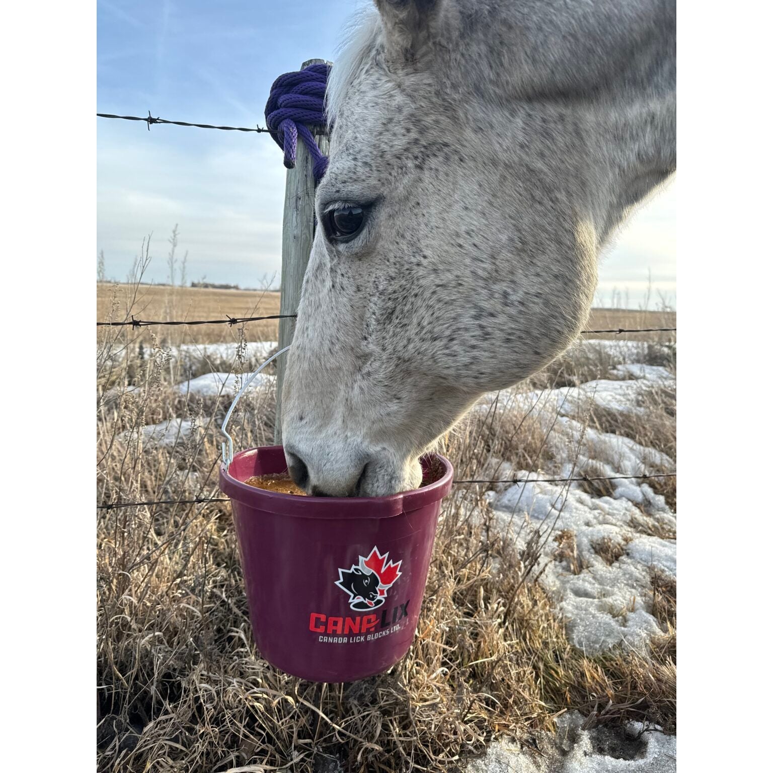 NRFM Cana-Lix 15% Horse 40lb Pail