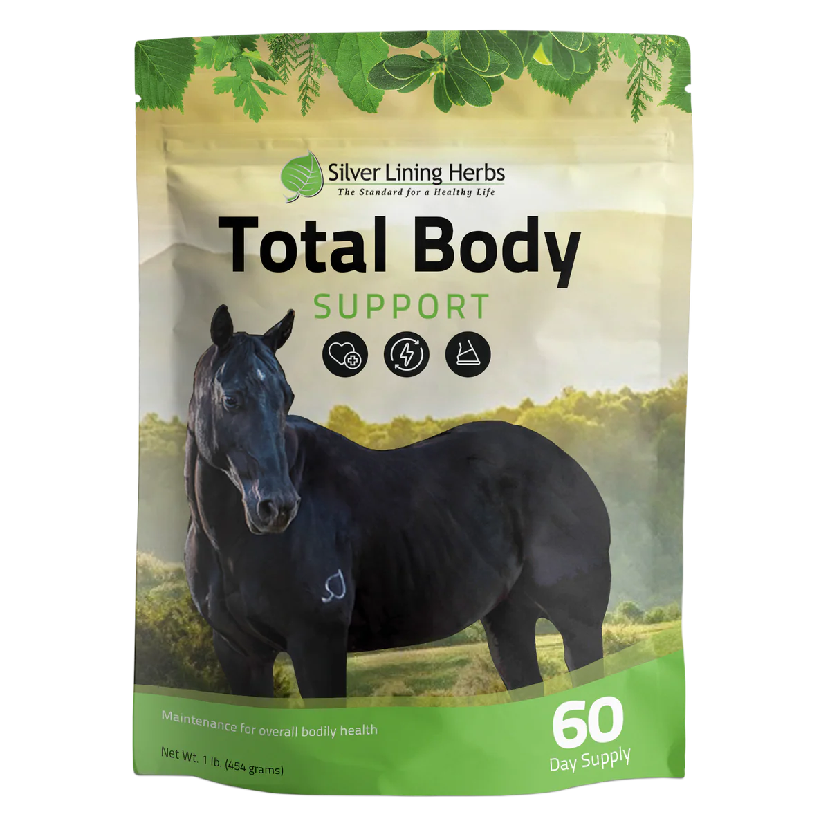 Silver Lining Herbs Total Body Support