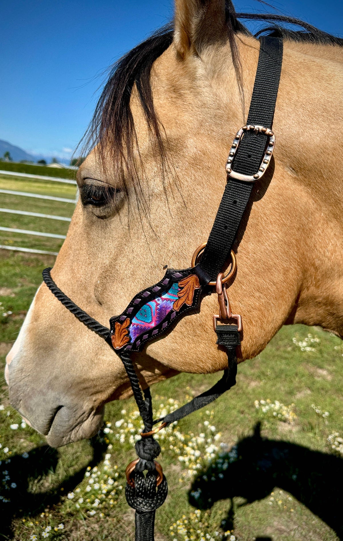 Lariat Nose Halter